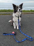 Dog Lead Speight's