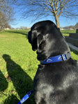 Dog Collar Speight's