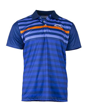 Blue Striped Polo Shirt